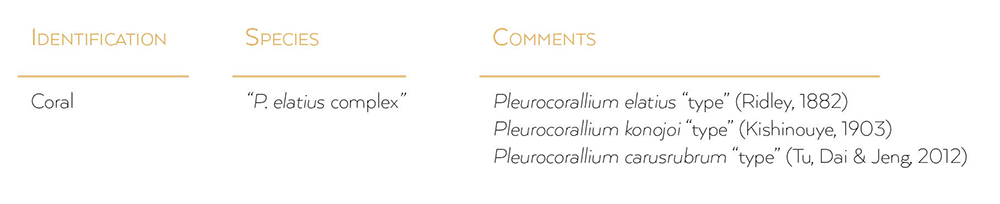 coral “type” of the “P. elatius species-complex” of Tu, Dai and Jeng.