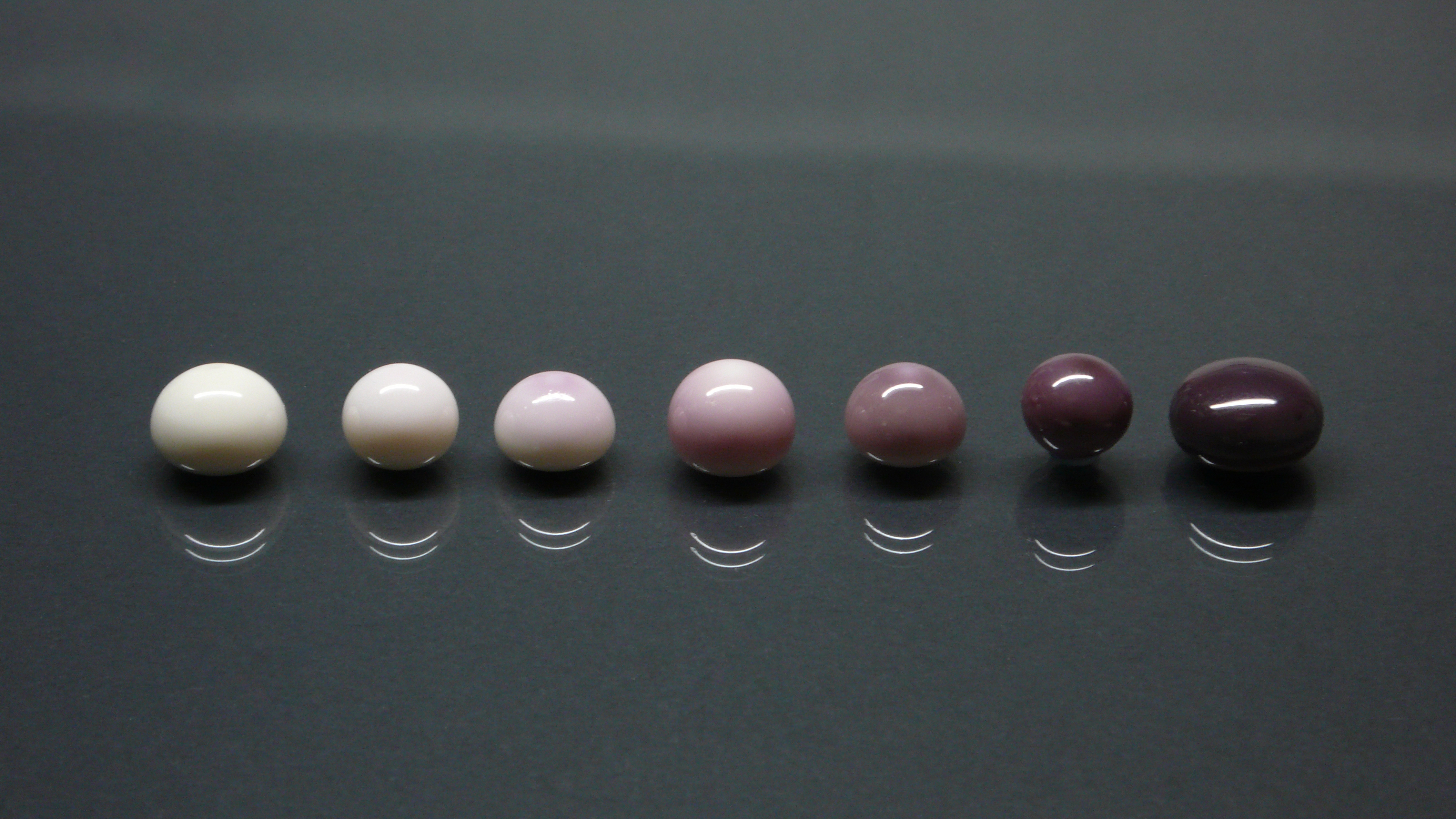 "Quahog” pearls from the M. mercenaria mollusk