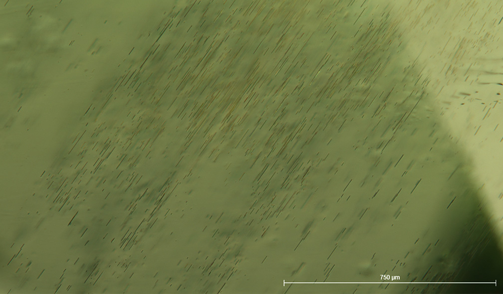 Figure 1: Inclusions of biotite from Pyaung Gaung, Mogok, Myanmar, observed parallel to their plane.